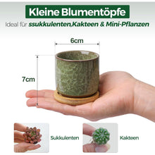 T4U 6.3cm Keramik Sukkulententöpfe Kaktus Pflanzentöpfe Mini