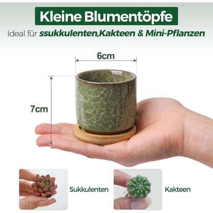 T4U 6.3cm Keramik Sukkulententöpfe Kaktus Pflanzentöpfe Mini