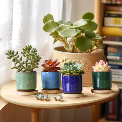 T4U 6.3cm Keramik Sukkulententöpfe Kaktus Pflanzentöpfe Mini