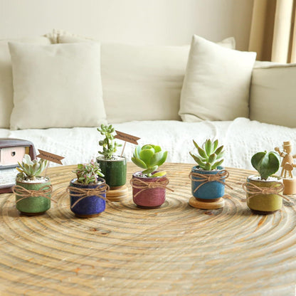 T4U 6.3cm Keramik Sukkulententöpfe Kaktus Pflanzentöpfe Mini