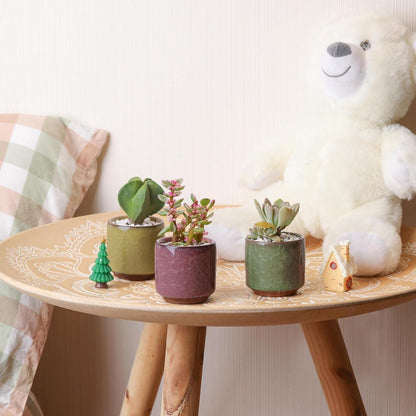 T4U 6.3cm Keramik Sukkulententöpfe Kaktus Pflanzentöpfe Mini