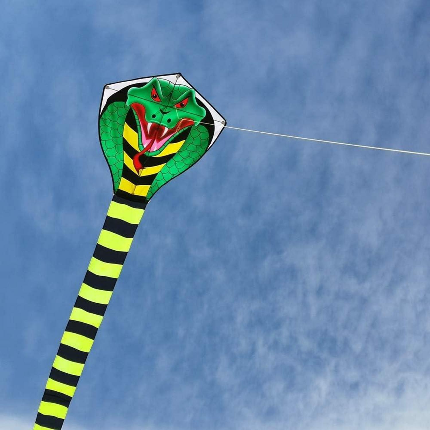 49ft Groß Kobra-Drachen für Kinder & Erwachsene, mit langem