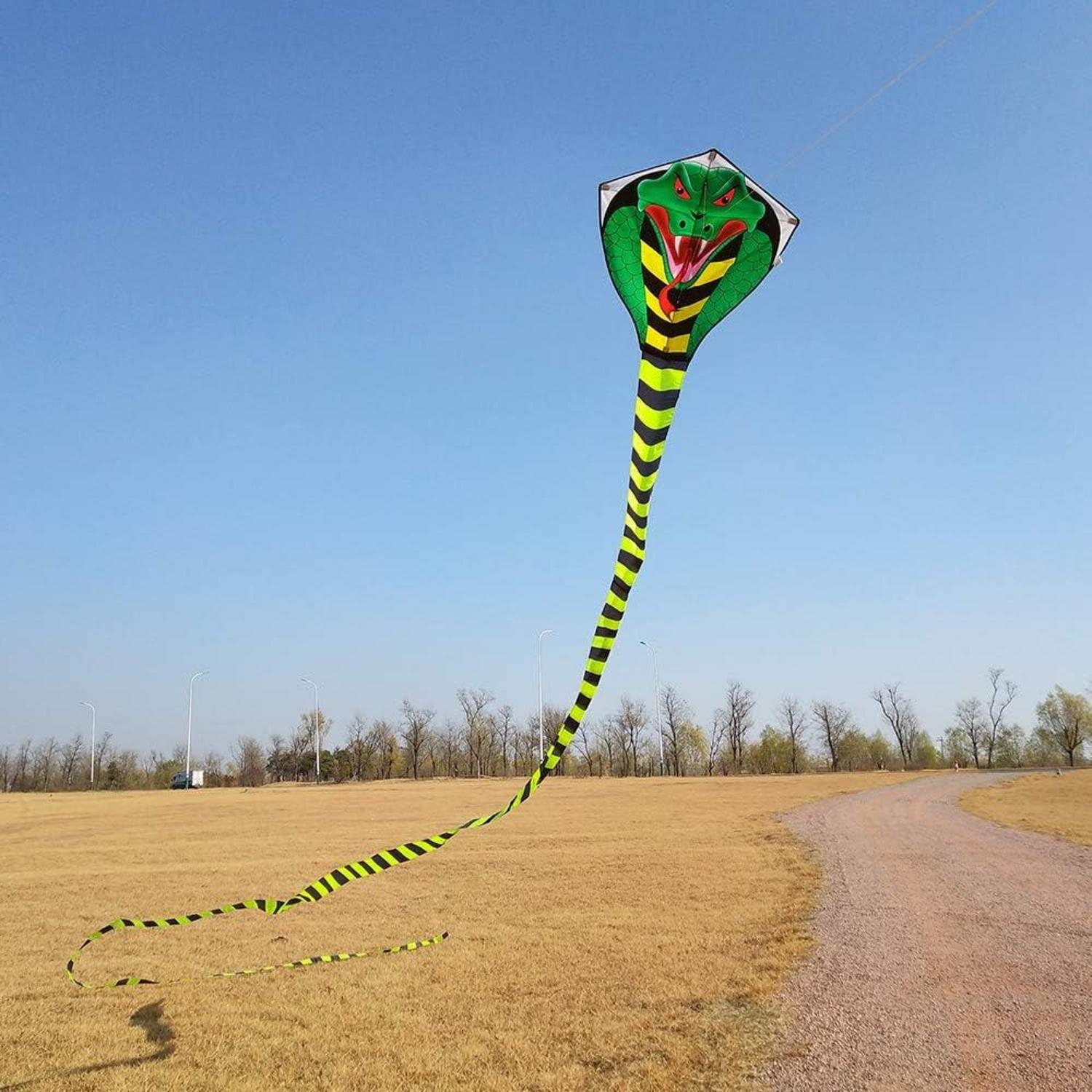 Groß Kobra Drachen Set mit Schnur und Spule - Einleiner Drachen