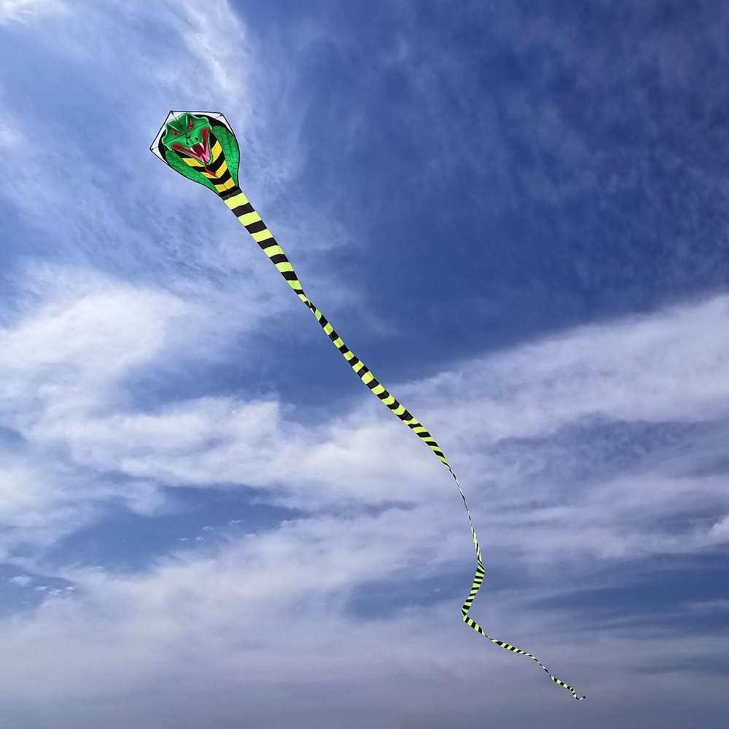 Großer Kobra-Drachen für Kinder und Erwachsene, 49ft, Einleiner