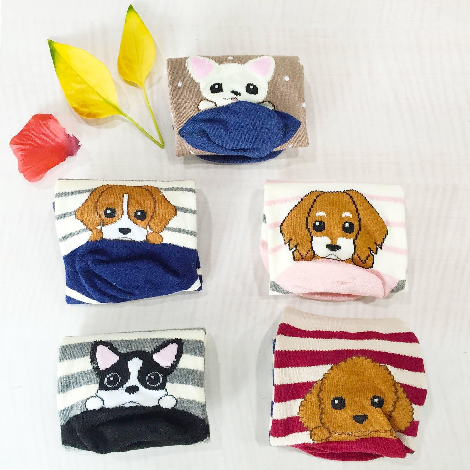 Chalier Cozy 5 Paar lustige bunte Katzensocken Damen Geschenk Baumwolle