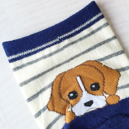 Chalier Cozy 5 Paar lustige bunte Katzensocken Damen Geschenk Baumwolle