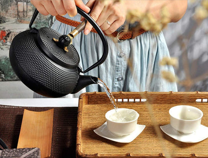 Japanische Teekanne Gusseisen mit Siebeinsatz Schwarz Asiatisch 0,6l