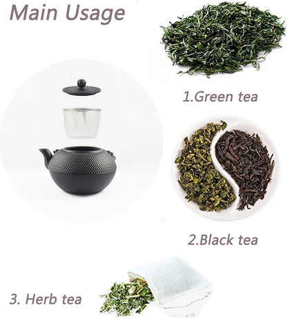 Japanische Gusseisen Teekanne Tetsubin mit Sieb Infuser 1,2l Schwarz