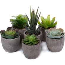 Künstliche Mini Sukkulenten Bonsai Kunstpflanze mit Topf 6er Set