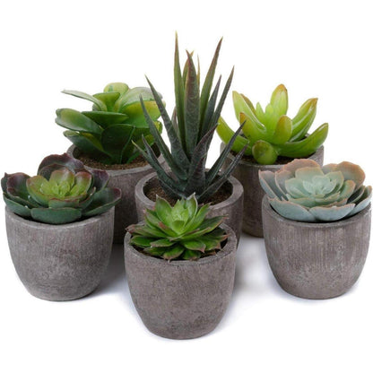 Künstliche Mini Sukkulenten Bonsai Kunstpflanze mit Topf 6er Set