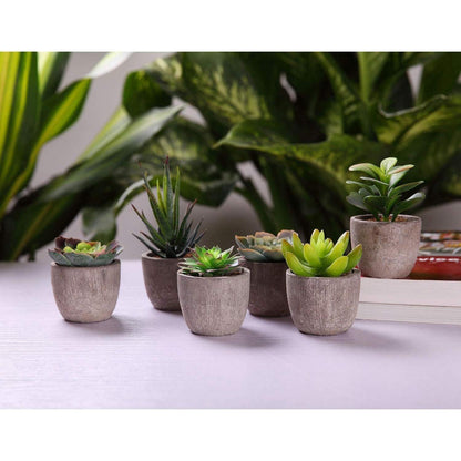 Künstliche Mini Sukkulenten Bonsai Kunstpflanze mit Topf 6er Set