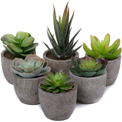 Künstliche Mini Sukkulenten Bonsai Kunstpflanze mit Topf 6er Set