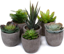 Künstliche Sukkulenten Set 6er Mini Dekorative Bonsai Pflanzen Topf
