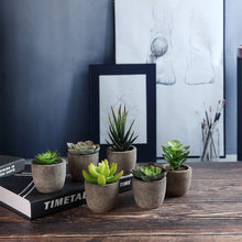Künstliche Sukkulenten Mini Bonsai Set 6er Deko