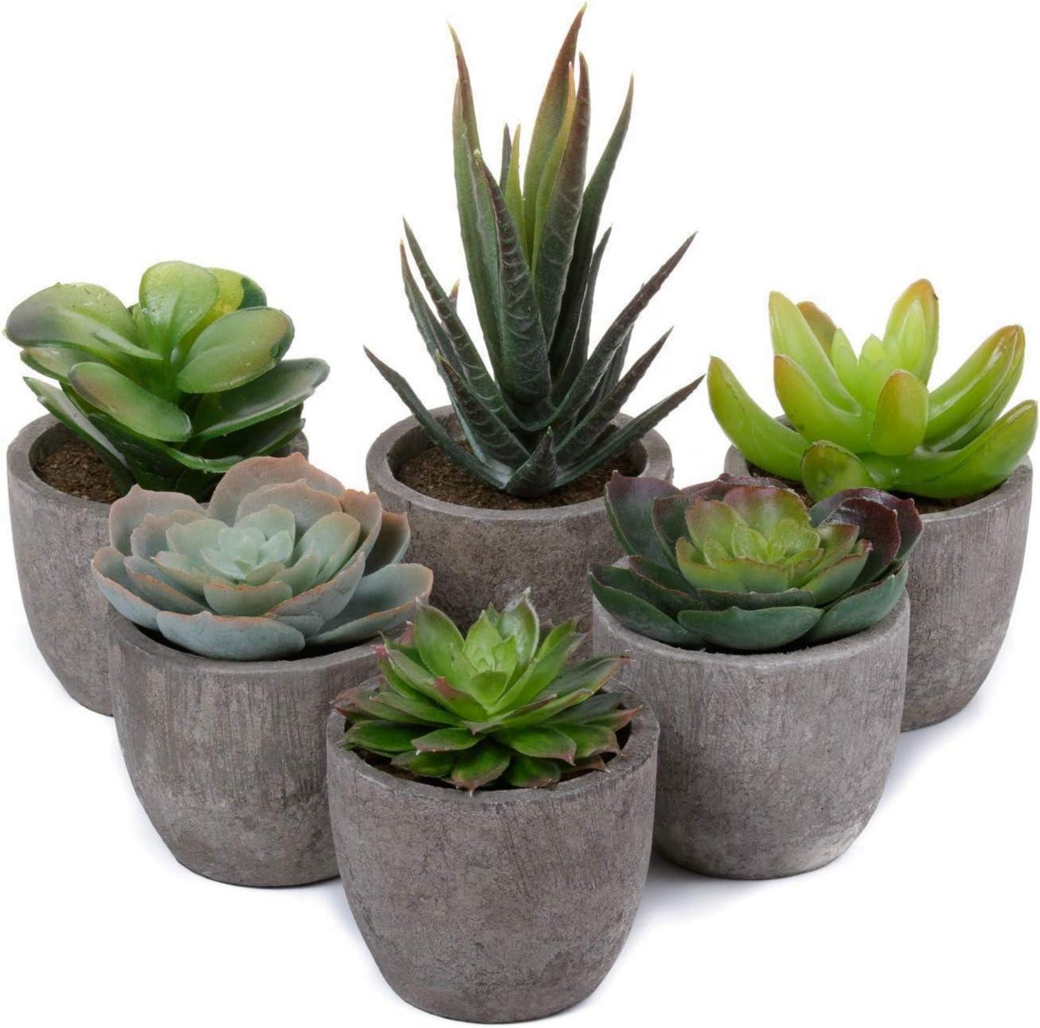 Künstliche Sukkulenten Bonsai Mini Kunstpflanze im Topf 6er Set