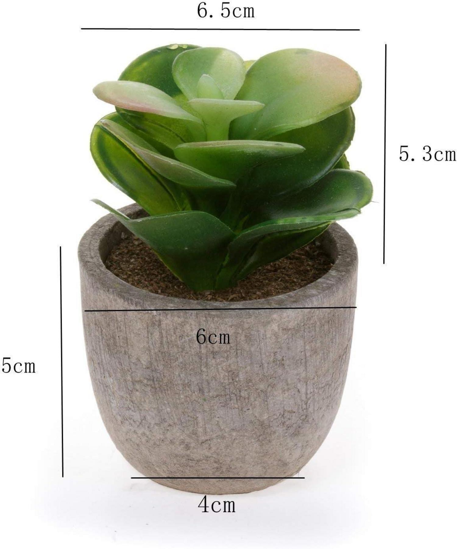 6er Set Mini Künstliche Sukkulenten Deko Bonsai Topf Wohnzimmer Bad