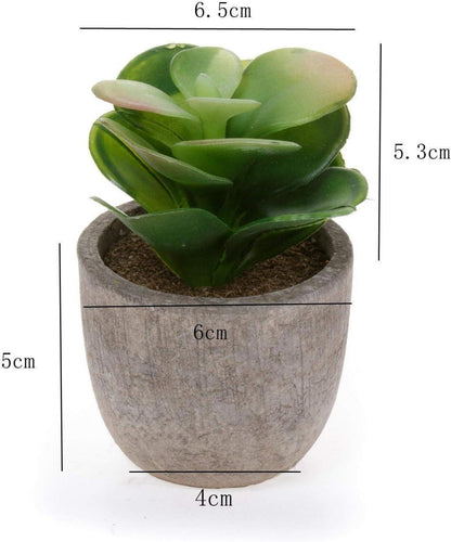 6er Set Mini Künstliche Sukkulenten Deko Bonsai Topf Wohnzimmer Bad