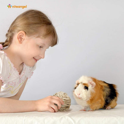 Niteangel Natürliche Kauspielzeug für Kaninchen und