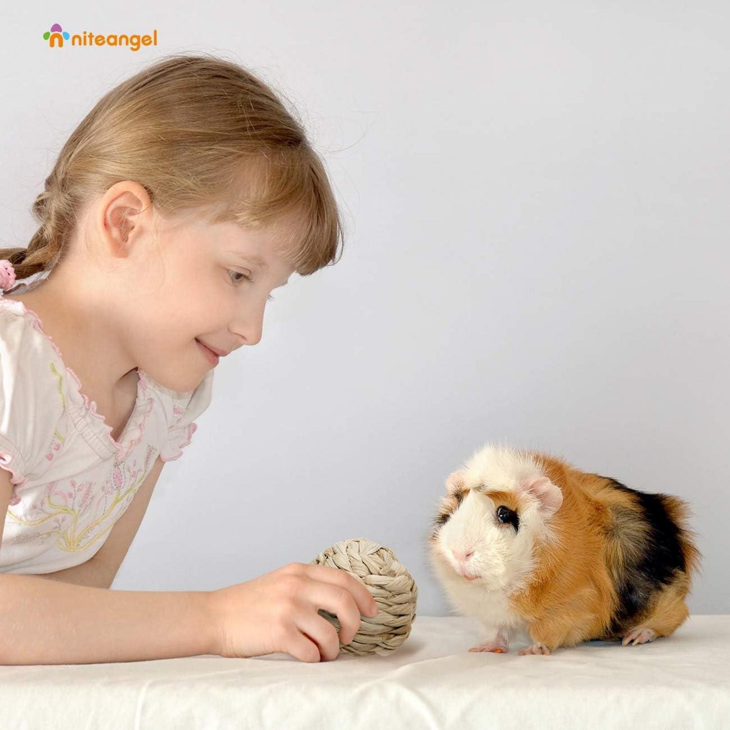 Niteangel Natürliches Kauspielzeug für Kleintiere 4er Set