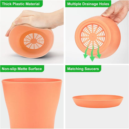 8 Pflanztöpfe 14cm mit Untersetzer – Ideal für Kakteen & Sukkulenten