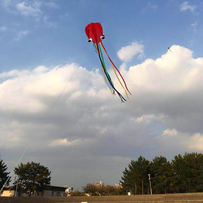 ZoomSky 2Stk Kinder Drachen-Set Delta Einleiner Große Bunt Oktopus Winddrachen