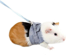 Verstellbares Kleintier Geschirr mit Laufleine und Polsterung