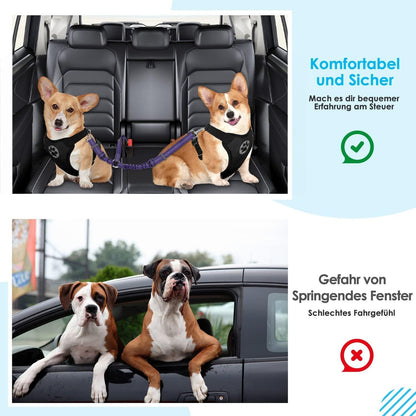 Anschnallgurt Hund Auto: 2in1 verhedderungsfrei elastisch