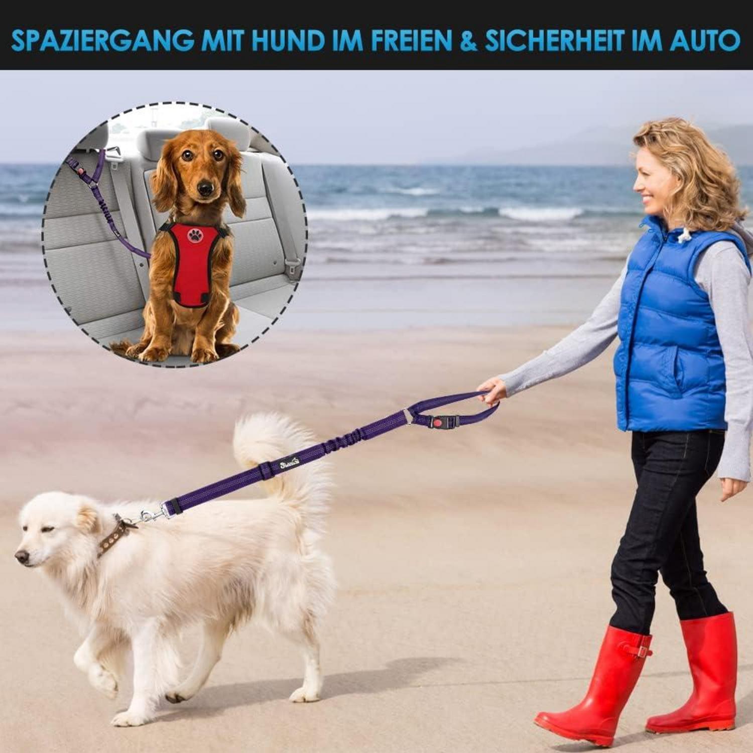 Hundegurt Auto Sicherheitsgurte