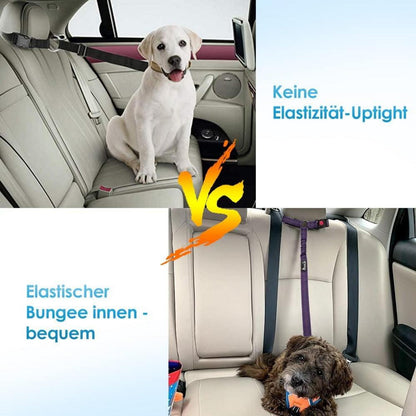 SlowTon Hundegurt Auto 2 Stück Kopfstützen-Rückhalte Anschnallgurt C.Lila