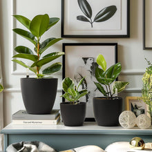 Selbstwässernder Blumentopf 22cm Schwarz 4er-Set - Indoor