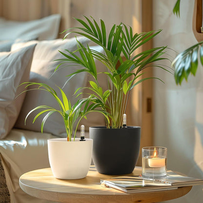 Selbstwässernder Blumentopf 22cm Schwarz 4er-Set - Indoor