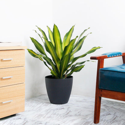 Selbstwässernder Blumentopf 22cm Schwarz 4er-Set - Indoor