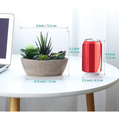 Künstliche Sukkulenten Grün 2er-Set - Deko für Zuhause Büro