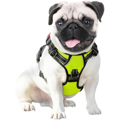 PHOEPET Anti-Zieh-Hundegeschirr Grün M mit Griff