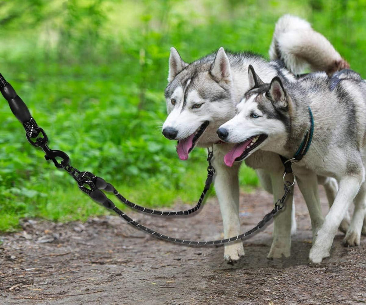 Taglory Doppelte Leinen Hundeleine 2 Hunde Schwarz Reflektierend 75cm