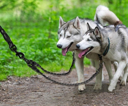 Taglory Doppelte Leinen Hundeleine 2 Hunde Schwarz Reflektierend 75cm