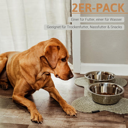 PEGGY11 Edelstahl Hundenapf mit Silikon-Boden, 2er Pack