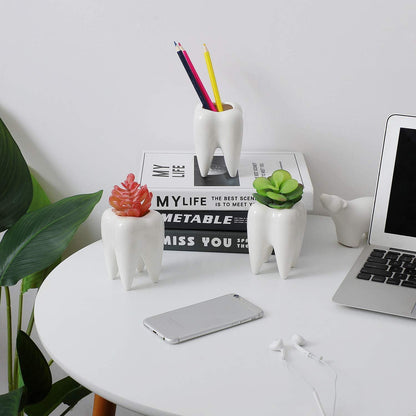 T4U Sukkulenten Topf Keramik Zahn-Form Weiß 3er-Set