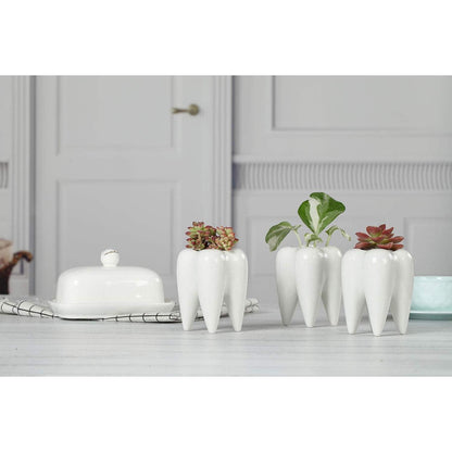 T4U Sukkulenten Topf Keramik Zahn-Form Weiß 3er-Set