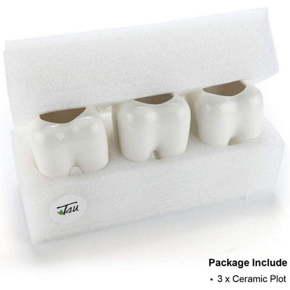 T4U Sukkulenten Topf Keramik Zahn-Form Weiß 3er-Set