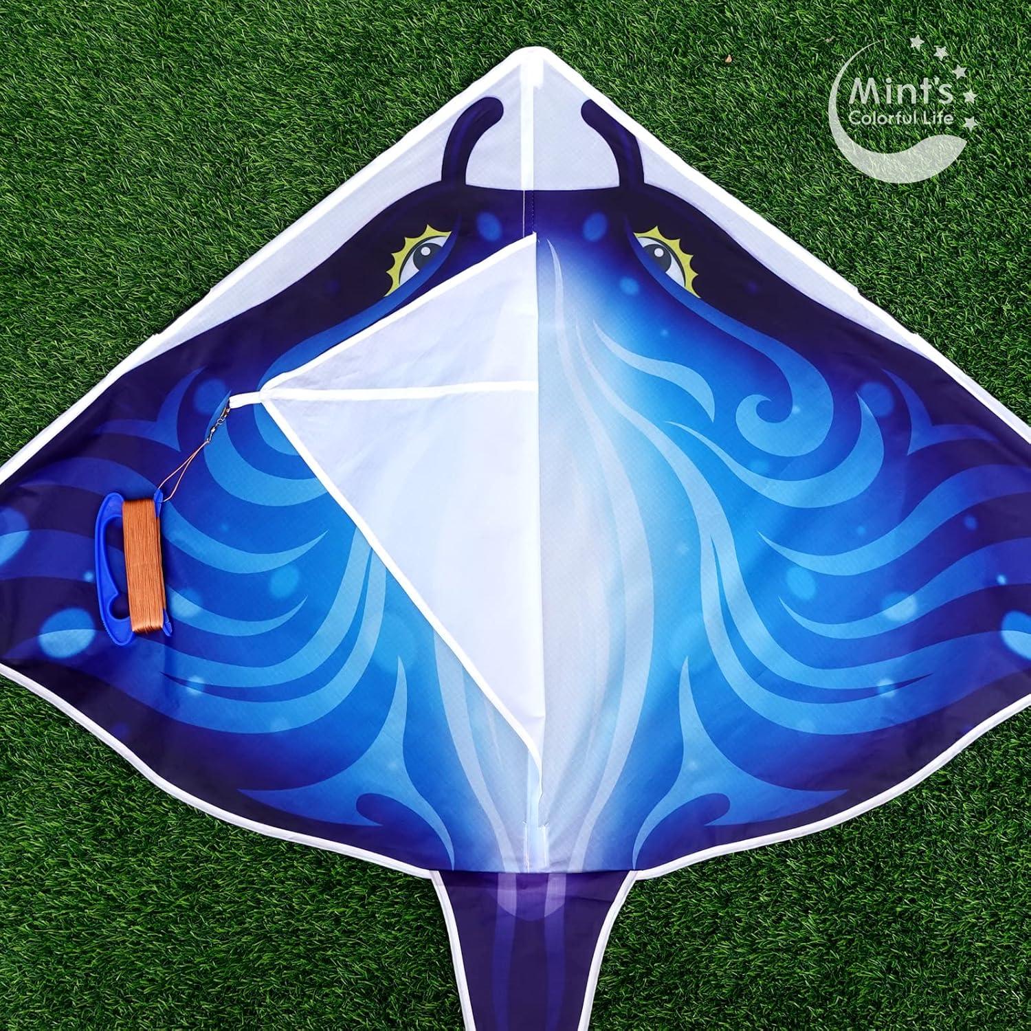 Delta-Drachen für Kinder und Erwachsene, 58'' groß, Flugdrachen
