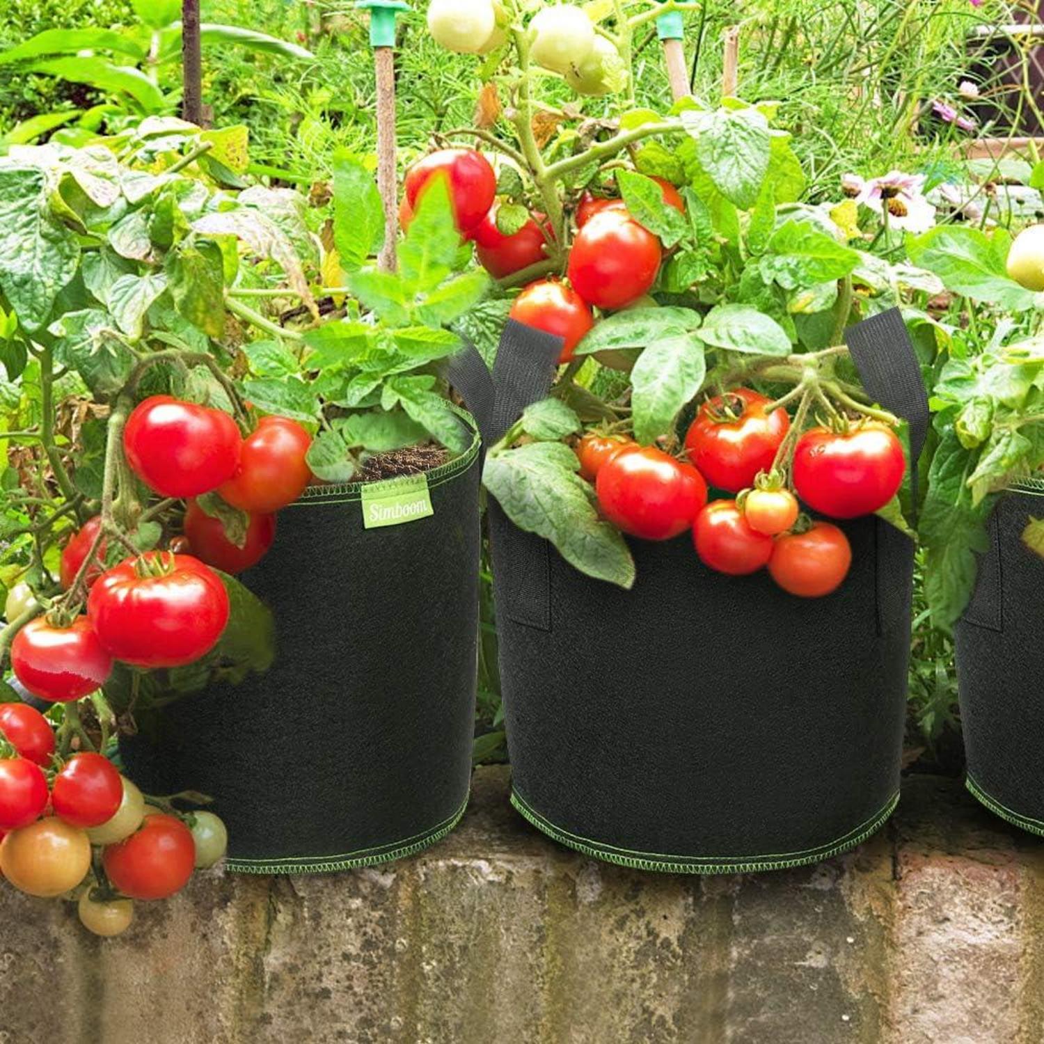 Pflanzsack Vliesstoff mit Griffen, Tomaten Blumen Gemüse