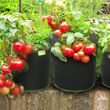 Pflanzsack Vliesstoff mit Griffen, Tomaten Blumen Gemüse