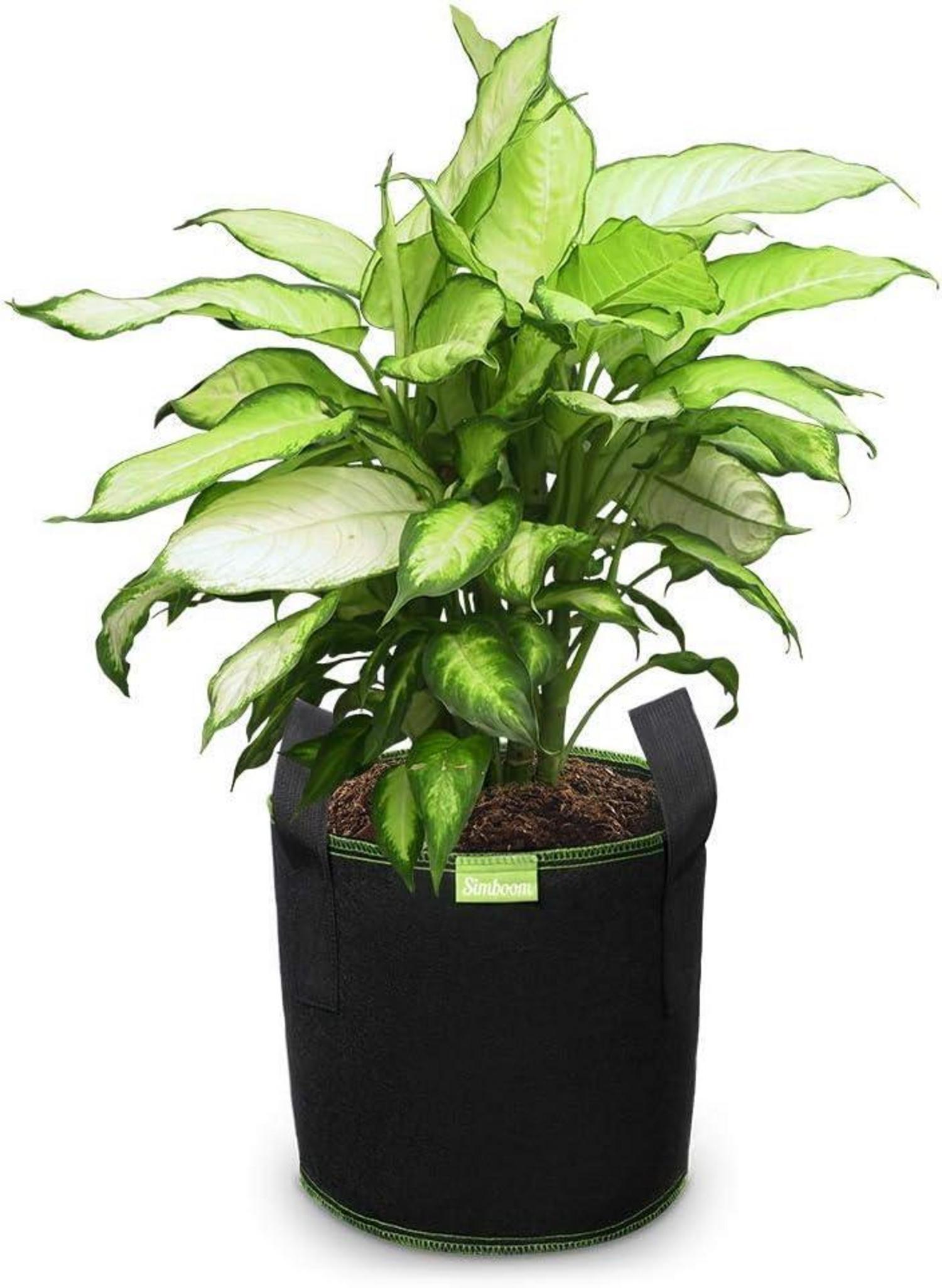 Pflanztasche Vliesstoff Tomaten Blumen Pflanzenbehälter Griffe 7 Gallonen