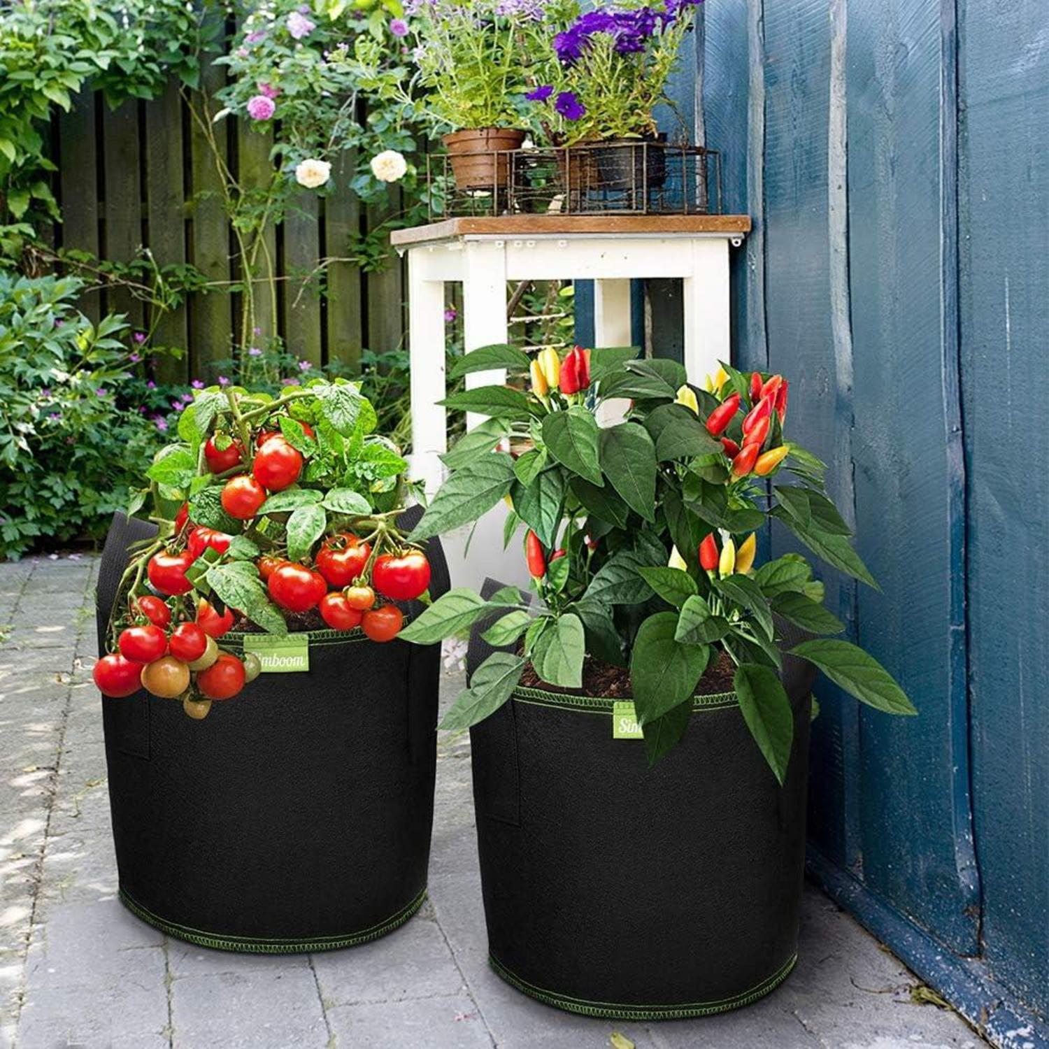 Stofftopf 12L Pflanzsack 5er Pack Schwarz 3 Gallonen (12