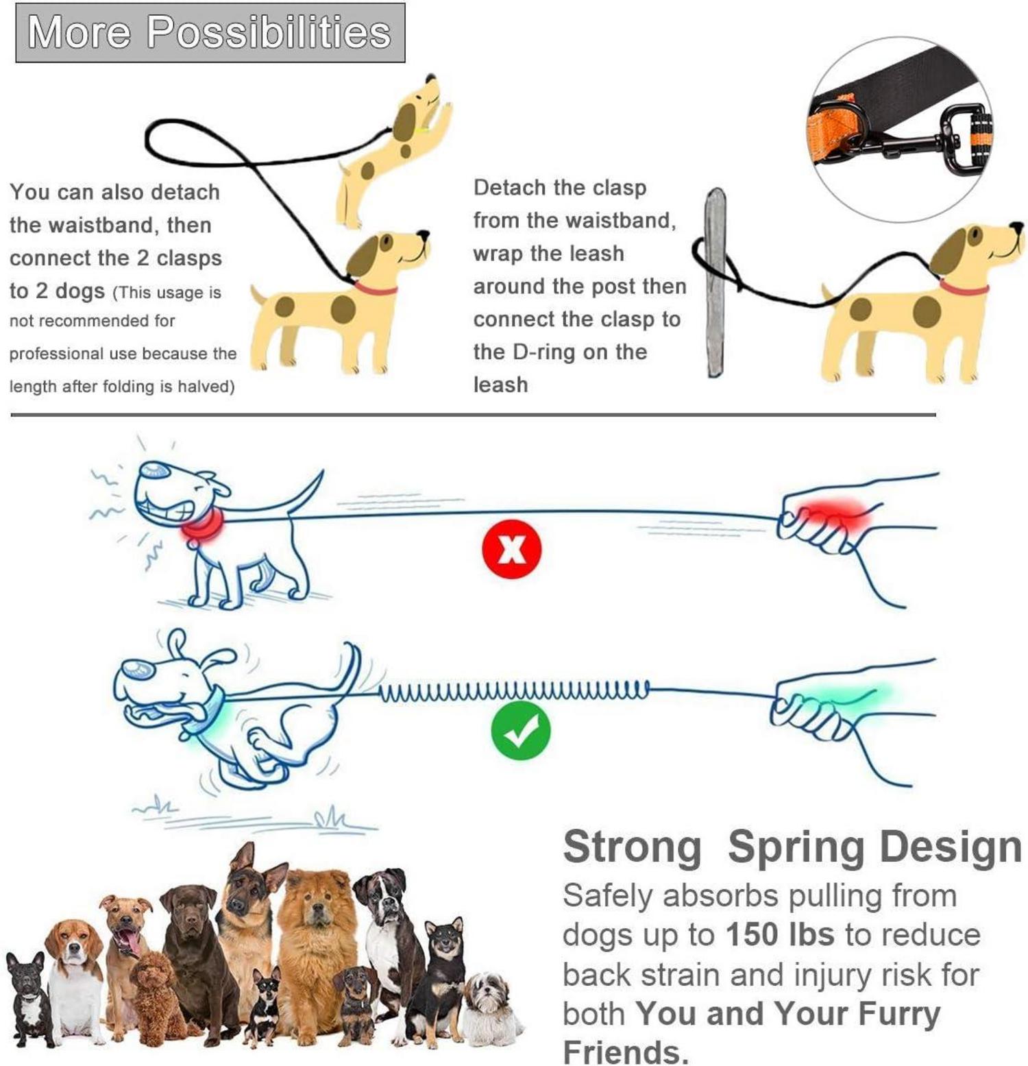 PHILORN Freihandleine Hundeleine mit Gürteltasche & Reflektoren