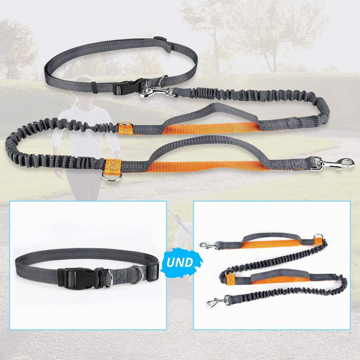 Freihändige Hundeleine mit Bungee & Reflektoren (Orange)
