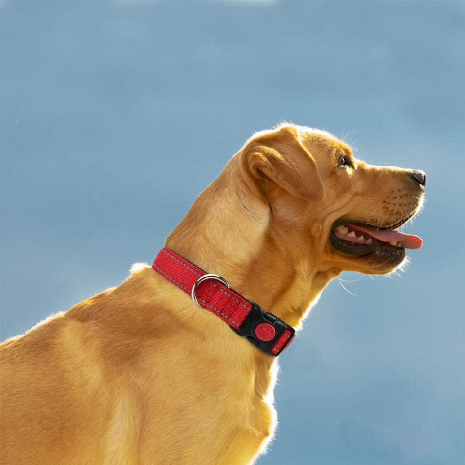 Taglory Hundehalsband Neopren Nylon Reflektierend Große
