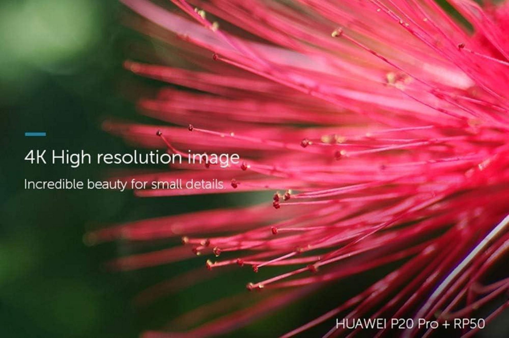 Apexel HD-Objektiv 100 mm Makroobjektiv kompatibel mit