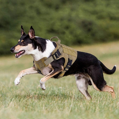 Taktisches Hundegeschirr mit MOLLE-System, L Braun